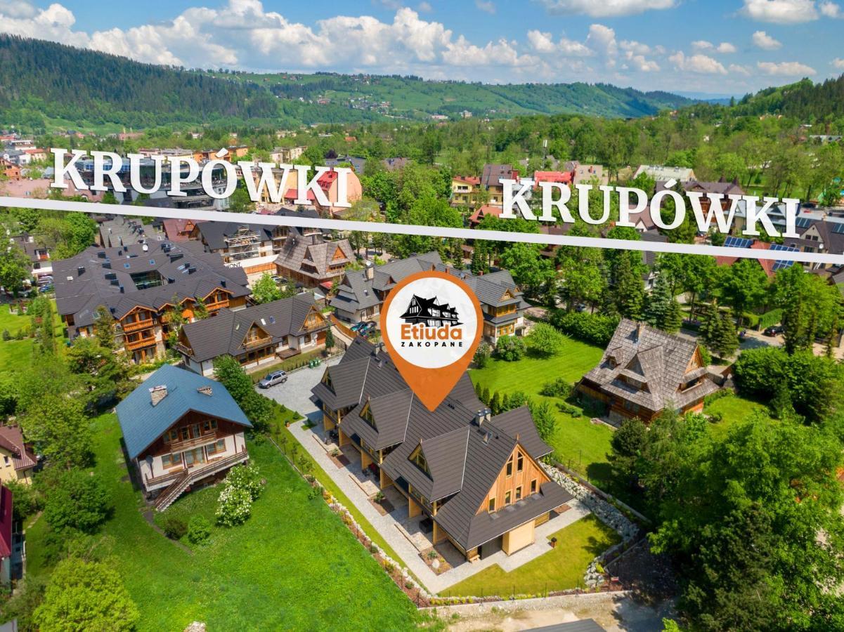 Villa Etiuda Zakopane Extérieur photo